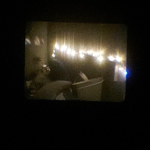 i dont want to let go (demo)
