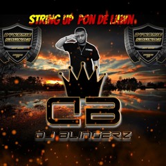 DYNAMIC SOUNDZ STRING UP PON THE LAWN REGGAE 🔥LIVE MIX🔥 BY DJ BLINGERZ