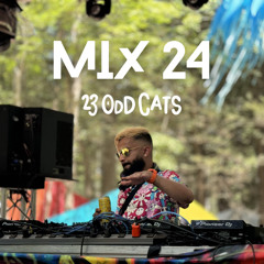 Mix 24