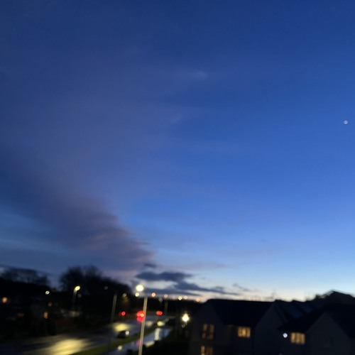 FreeFlyeeeah😎🐝✨🫶🏻