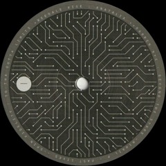 Reedale Rise / Darren Nye / Mihail P / Spin Fidelity - Neuromorphic Engineering Vol. 1 (MS004)