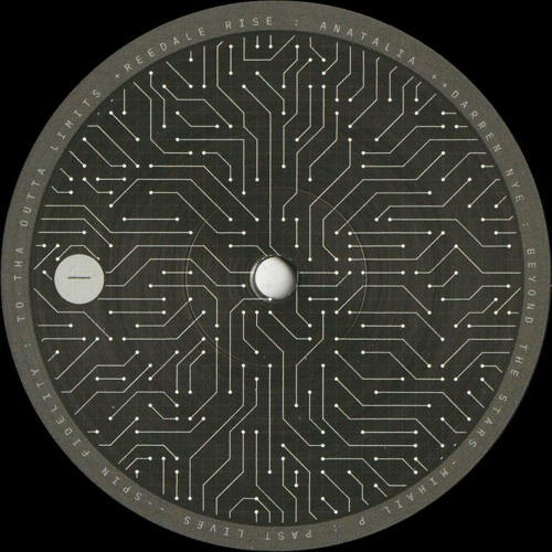 Reedale Rise / Darren Nye / Mihail P / Spin Fidelity - Neuromorphic Engineering Vol. 1 (MS004)