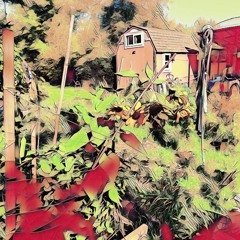 Reflections In A Garden