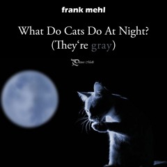 What Do Cats Do At Night? (They're gray!)