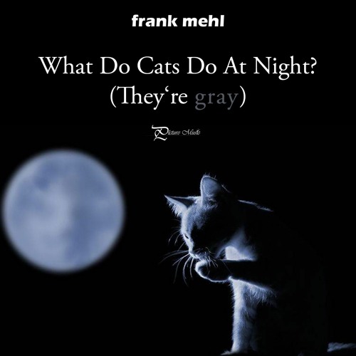 What Do Cats Do At Night? (They're gray!)