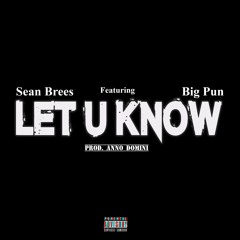 Sean Brees (Gator Boyz) Featuring Big Pun - Let U Know