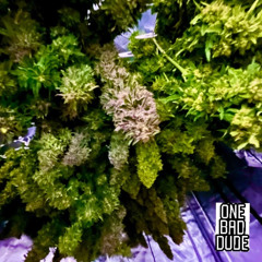 A minimal mix for blowin trees