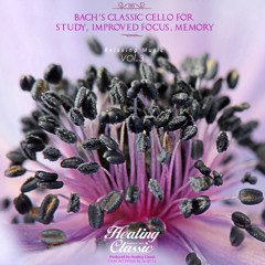 Bach: Suite For Solo Cello No.3 In C Major BWV 1009 - V. Bourree I, II