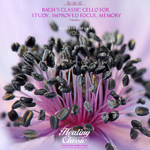 Bach: Suite For Solo Cello No.3 In C Major BWV 1009 - V. Bourree I, II