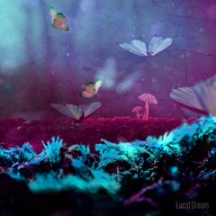 Lucid Dream