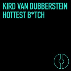 Robin Thicke - Blurred Lines (Kird van Dubberstein LoFi Remix)