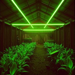 Ex (Garden Remix)