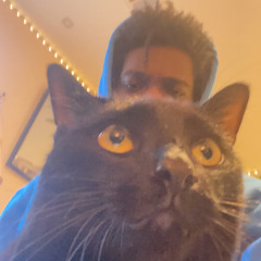 Notice Me ft. Xander Digital