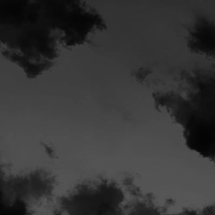 monoculture (i)