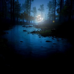 OrbitalNoise - Nocturnal Exploration <145> (unmastered preview)