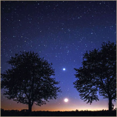 Venus Twinkles [Lady of Love]