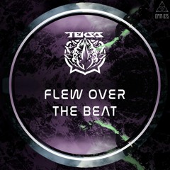 Teksa - Flew Over The Beat [OMN-025]