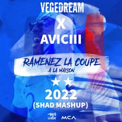 Vegedream x Avicii - Ramenez La Coupe à La Maison x Levels (Shad Mashup)