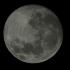 Everyday People(Cover)