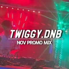 Twiggy- Promo Mix Nov 23