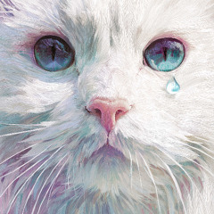 Everyday Pretender rework mix β