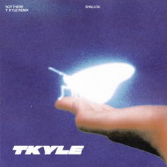 Shallou - Not There (T. Kyle Remix)