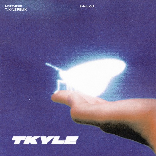 Shallou - Not There (T. Kyle Remix)