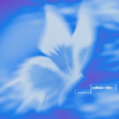 IDU (Extended Mix)