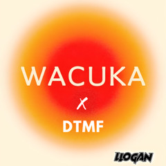 Wacuka x Dtmf (Llogan Mashup)(FILTER & PITCH)