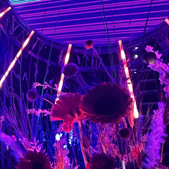 Chuck Gunn @ Sunset Campout 2023