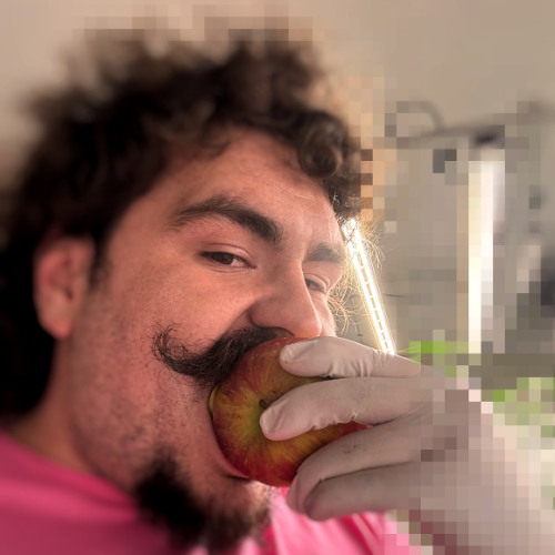 what r we supposed to be remix