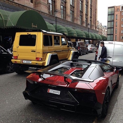 ودي بخبر | بلقيس