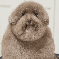 Dondon. (BOUNCE) @littletoesnatcher @tickletom @bestbeatmaker