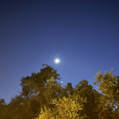 Unintentional (Prod. Bayden)