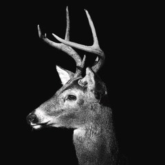 deer death - middle ground (Slowed + Amplified)