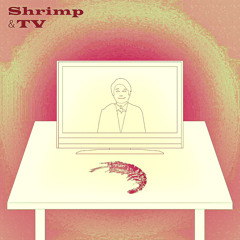 エビとテレビ / Shrimp & TV