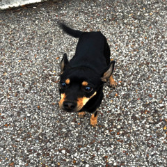 не зови меня странным