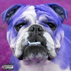 Everyday Hustle (prod. xCriis Beats)