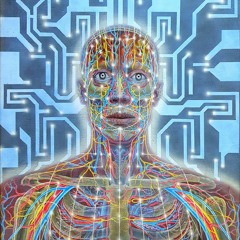 Haaksessie (Steady B2B Trane)