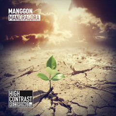 Mandragora (Original Mix)