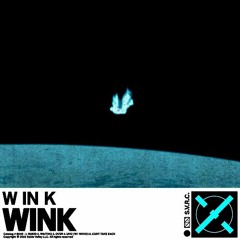 W IN K - OVER (leemoo Remix)