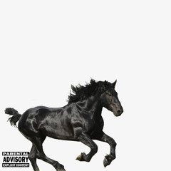 Old Town Road (Perkys-Money Boy Ehrenloser Remix)