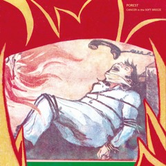 Porest - Cancer in the Soft Breeze (LP Preview 01)