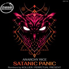 DR119 Anarchy Rice - Satanic Panic (Original Mix)