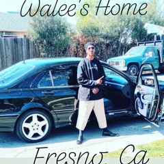 Walees Home Blaze1 Master