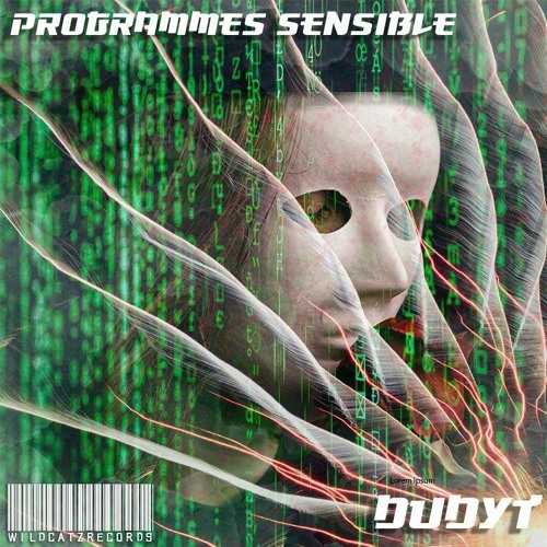 DUDYT - PROGRAMMES SENSIBLES [WCR-14]