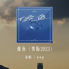 杜宣达 - 像鱼 (男版2023)(原唱：王贰浪)「我要记住你的样子，像鱼记住水的拥抱」(4k Video)【動態歌詞/pīn yīn gē cí】#杜宣达 #像鱼 #王贰浪 #動態歌詞