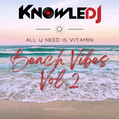 Beach Vibes Vol 2