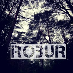 Robur Lø - Elektronische Datenverarbeitungsanlage 0.0.6