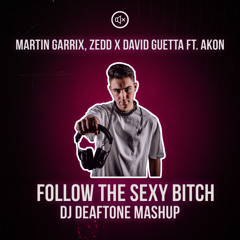 Follow The Sexy Bitch (DJ Deaftone Mashup)[PITCHED]